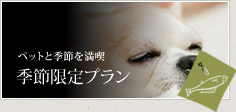 季節限定プラン